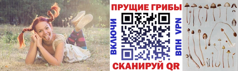 Псилоцибиновые грибы ЛСД  как найти закладки  Поронайск 